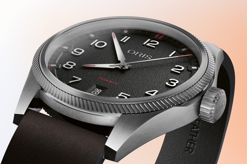 ProPilot Date Nahaufnahme