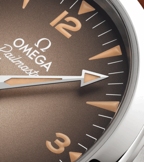 Railmaster von Omega