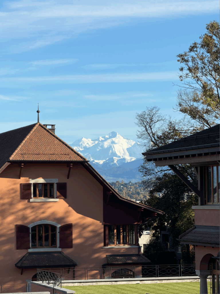 Blick auf den Mont Blanc