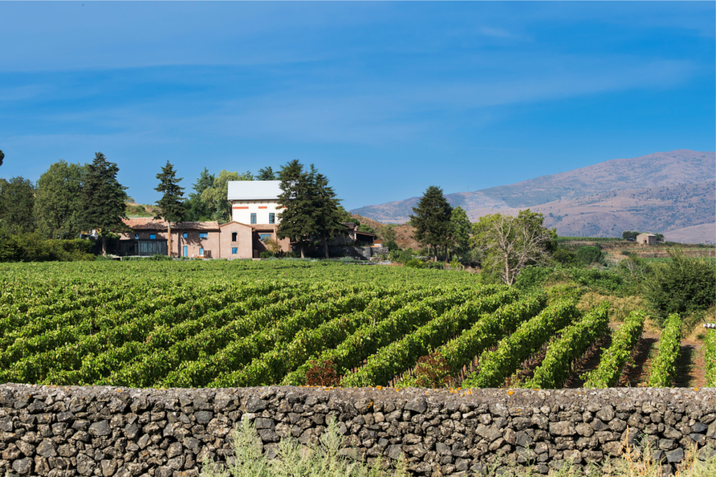 Dimora Cottanera: View of the complex across the vineyards