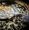 @telos watch