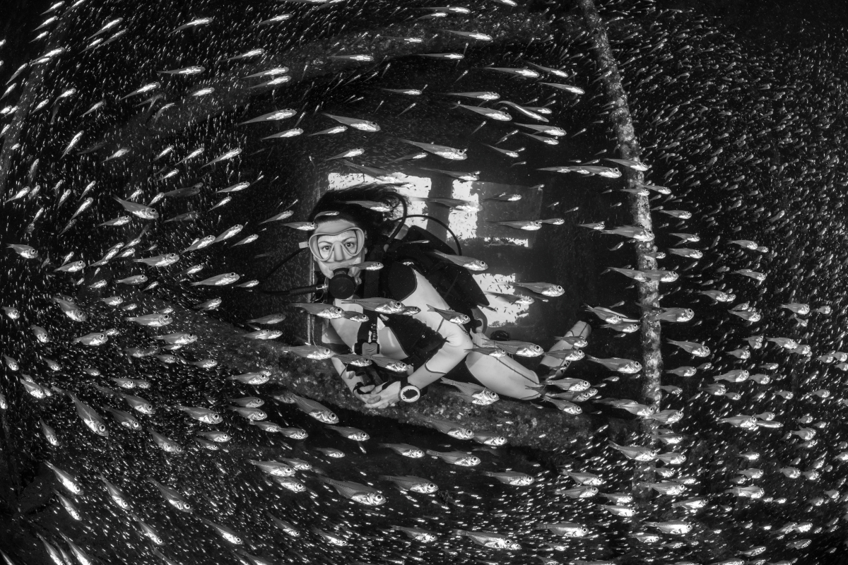 Unterwasserfotografin Jenny Stock, Gewinnerin des Female Fifty Fathoms Award 2026